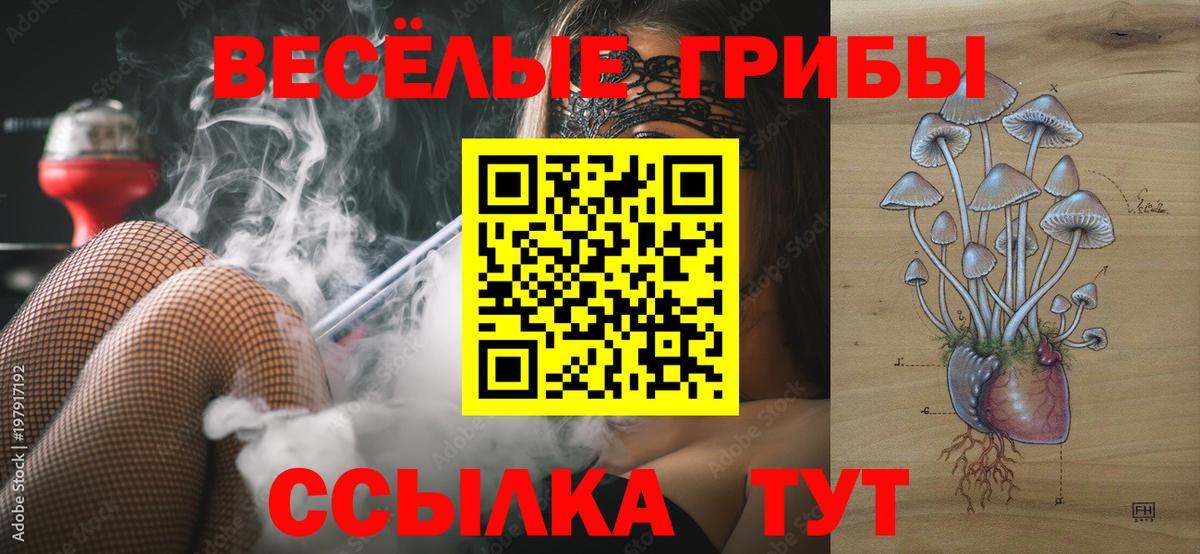 Псилоцибиновые грибы Cubensis Владивосток