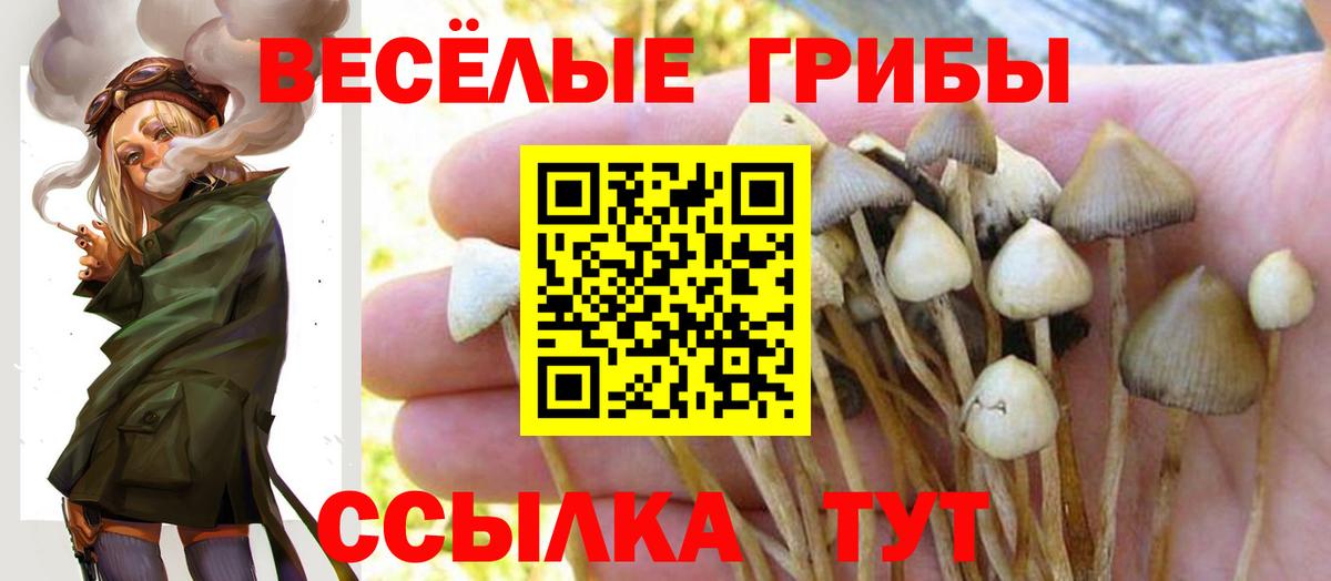 Галлюциногенные грибы мицелий  Вход с VPN  Владивосток 
